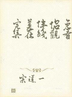 完美伴侣免费全集在线观看