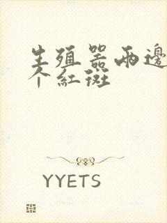 生殖器两边有两个红斑