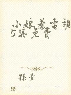 小娘惹电视剧45集免费