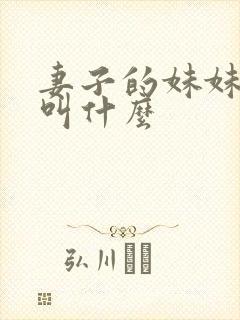 妻子的妹妹应该叫什么