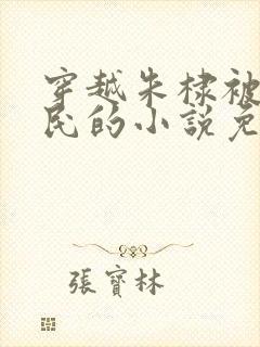 穿越朱棣被贬农民的小说免费阅读