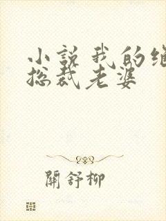 小说 我的绝色总裁老婆封面