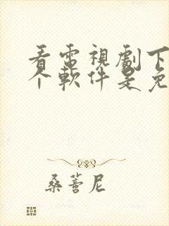 看电视剧下载哪个软件是免费的封面