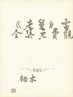 《老舅》电视剧全集免费观看