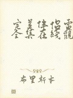 完美伴侣电视剧全集在线观看免费