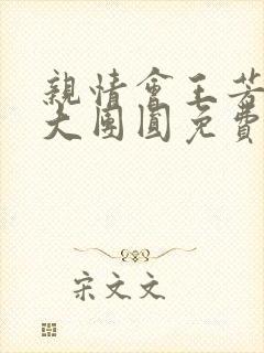 亲情会王芳高敏大团圆免费阅读