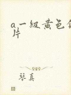 a一级黄色录像片