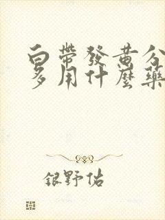 白带发黄分泌物多用什么药