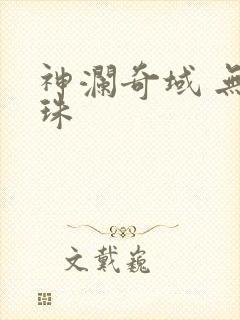 神澜奇域 无双珠