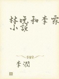 林晚和李霖云的小说