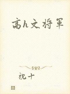 高h文将军
