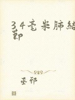 3 4毫米肺结节封面