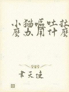 小猫呕吐拉稀怎么办用什么药