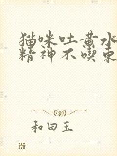 猫咪吐黄水没有精神不吃东西封面