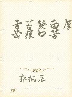 舌苔发白厚腻有齿痕口苦