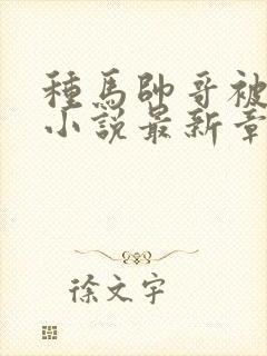 种马帅哥被阉杀小说最新章节更新时