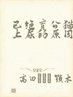 已绝育公猫在床上尿的原因