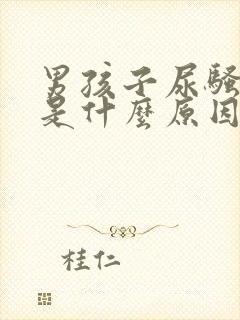 男孩子尿骚味重是什么原因