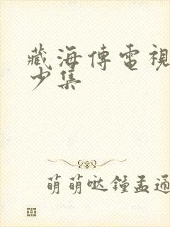 藏海传电视剧多少集封面