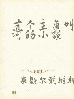 有个主角叫赵山河的小说