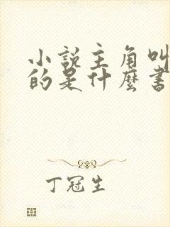 小说主角叫林凡的是什么书