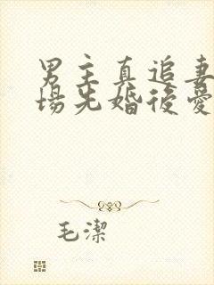 男主真追妻火葬场先婚后爱