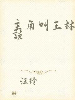 主角叫王林的小说