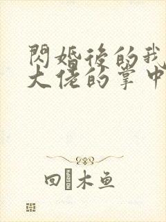 闪婚后的我成了大佬的掌中之物