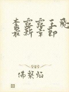 李露露王飞小说最新章节