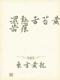 湿热舌苔黄腻有齿痕