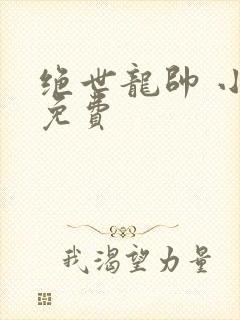 绝世龙帅 小说免费