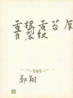 舌根舌苔厚黄腻有裂纹