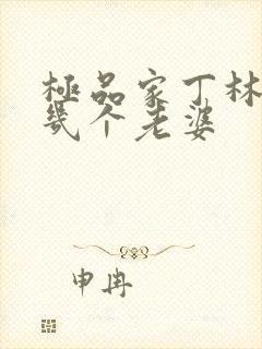 极品家丁林三有几个老婆