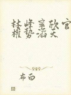 林峰宁欣官道之权势滔天