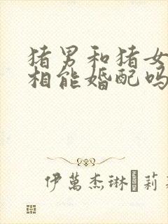 猪男和猪女的属相能婚配吗