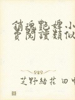 销魂艳婢小说免费阅读类似的小说