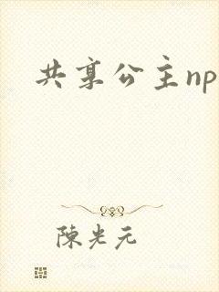 共享公主npc封面