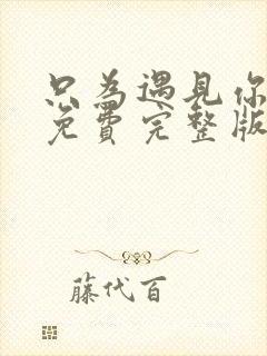 只为遇见你全集免费完整版观看