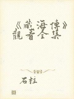 《藏海传》在线观看全集