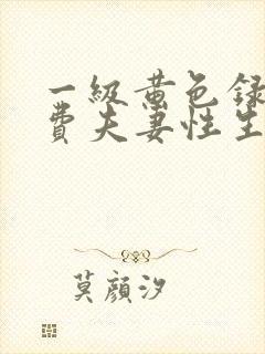 一级黄色录像免费夫妻性生活版