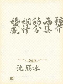 婚姻的两种猜想剧情分集介绍