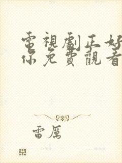 电视剧正好遇见你免费观看全集高清