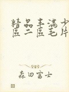 精品丰满少妇一区二区毛片封面