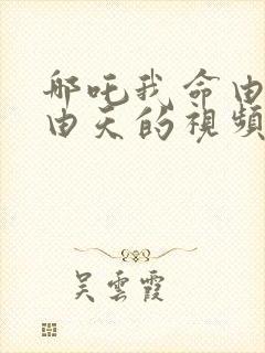 哪吒我命由我不由天的视频