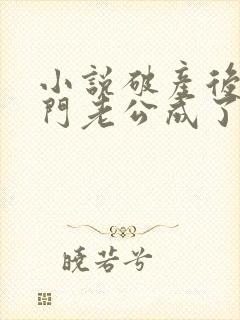 小说破产后,上门老公成了我的金主在线阅读封面