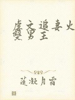 虐文追妻火葬场双男主