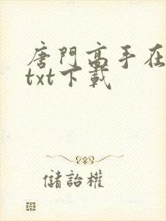 唐门高手在异世txt下载
