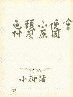 龟头小便会痛是什么原因