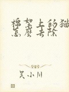 棉絮上的猫尿味怎么去除