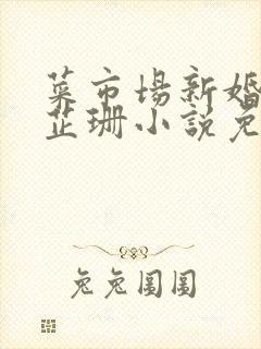 菜市场新婚妻子芷珊小说免费阅读